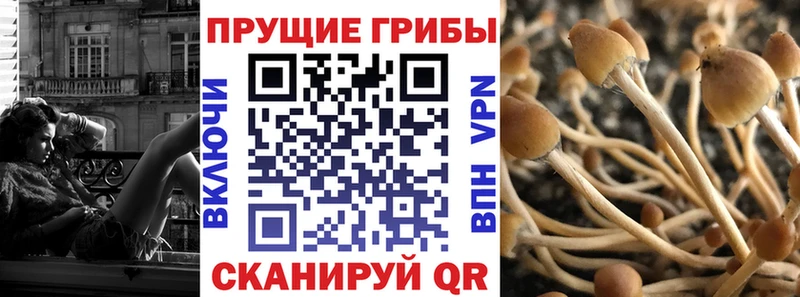 Псилоцибиновые грибы мухоморы  hydra ссылка  Морозовск 